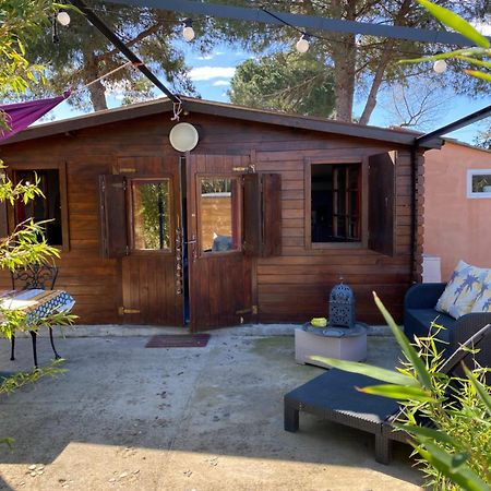 Chalet Des Oliviers 20Mn Des Plages Climatise Béziers Exteriör bild